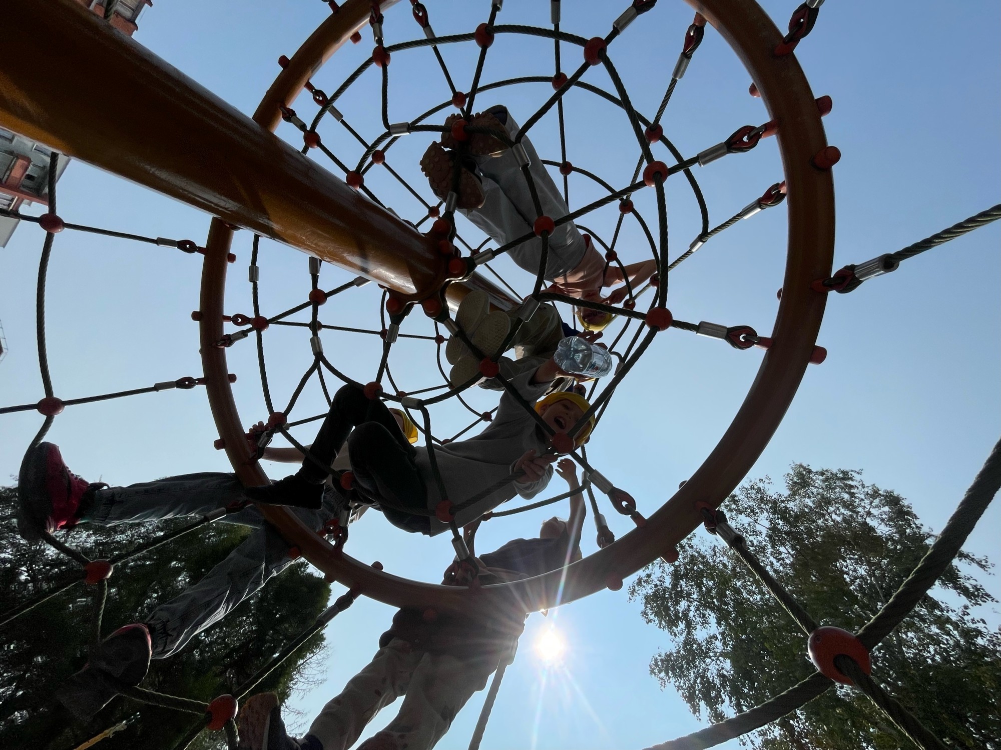 Strazdo mokyklos mokiniai gamtoje tyrinėja ąžuolo kamieną – fenomenų pagrindu grįsto mokymosi akimirka