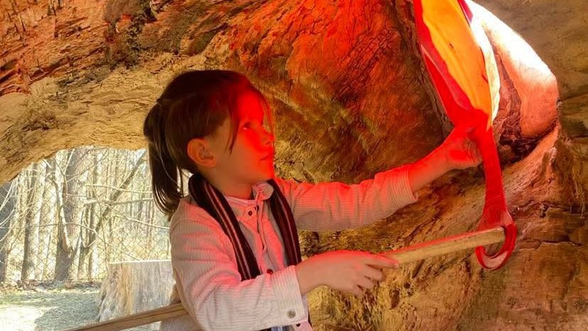 Vienas mokinys tyrinėja šviesos ir šešėlių reiškinius medžio kamiene – fenomeno eksperimentas